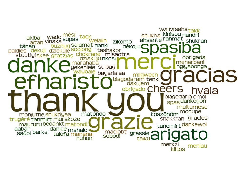 Moodle_content_meertalen